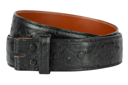 Chacon 1.5 Full-Quill Ostrich Straight Belt Strap, a refined and exotic accessory for elevated fashion.