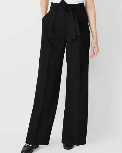 Tie Waist Pleated High Rise Wide Leg Pants," a stylish and on-trend pair of wide-leg pants with a high rise, featuring a tie waist and pleats for a chic and fashionable look.